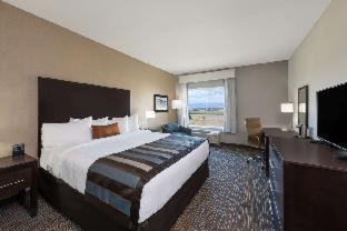 Wyndham Garden Orlando Universal / I Drive Rom bilde